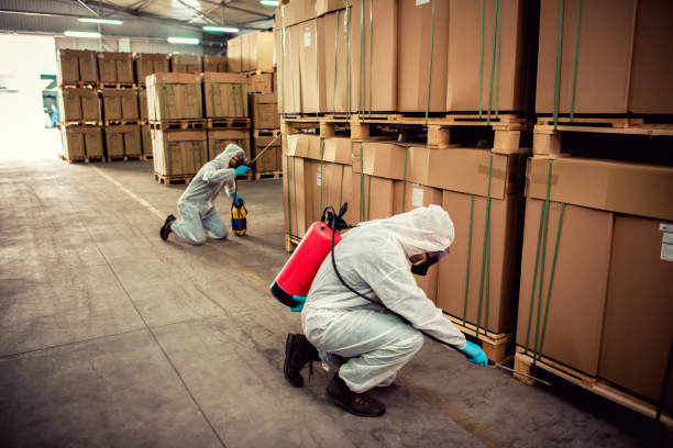 Pest Prevention Services in Riverside, CT