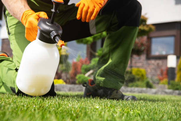 Wildlife Control Services in Riverside, CT