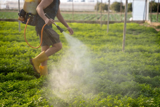 Pest Control Cost in Riverside, CT