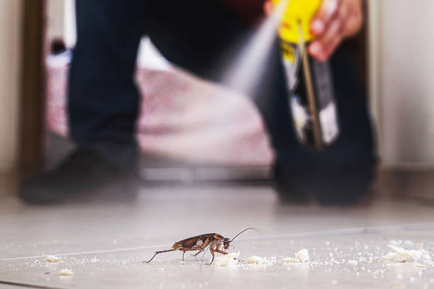 Best Commercial Pest Control Services  in Riverside, CT